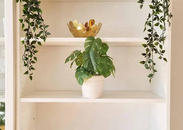 Dehesa Centro Con Parking Soria