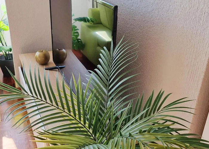 Lejlighed Dehesa Centro Con Parking *